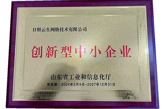 五莲网络公司